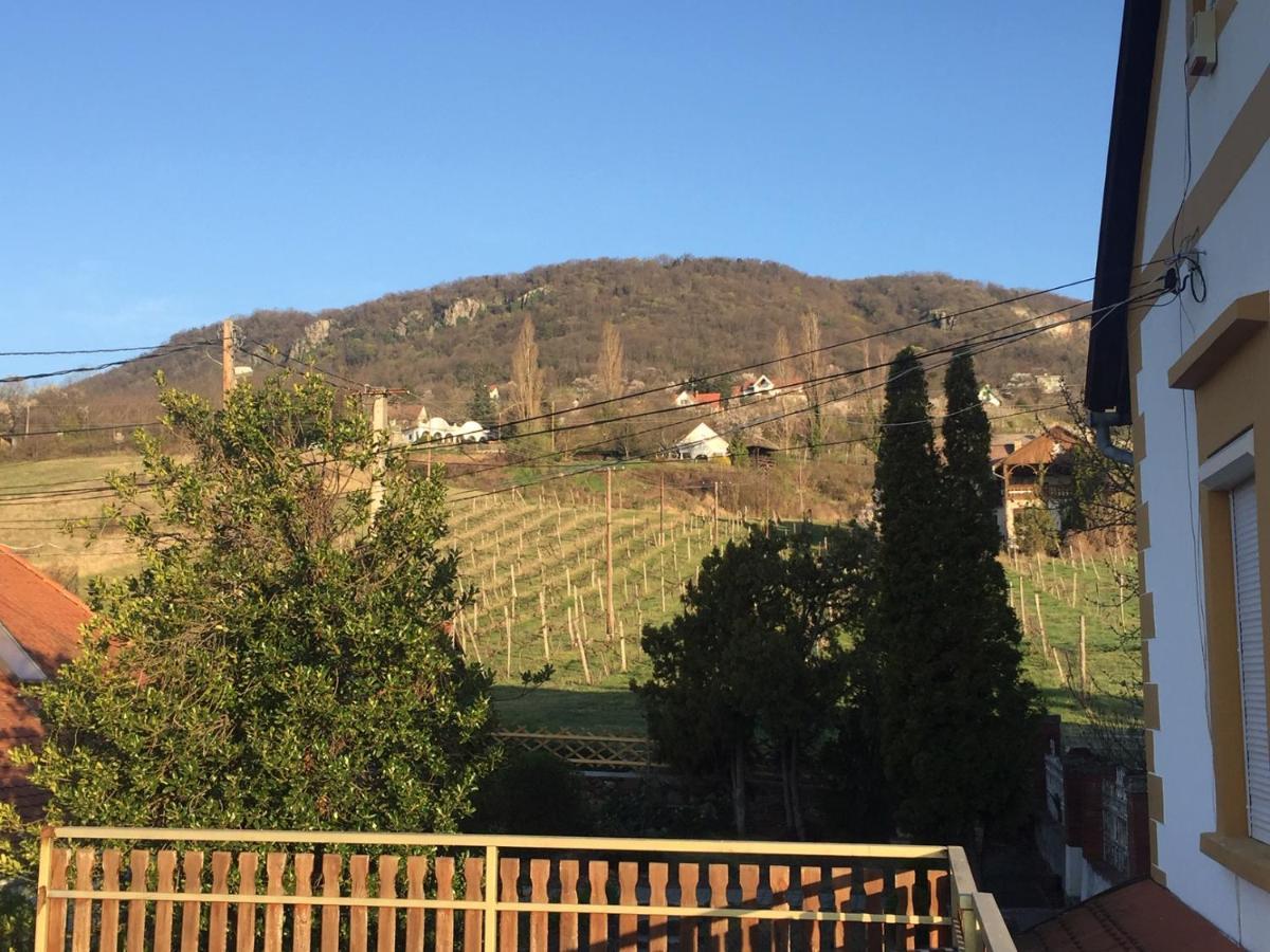 Bacchus Apartman - Borbarlang, Badacsony Badacsonytomaj Exteriér fotografie