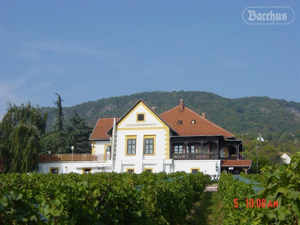 Bacchus Apartman - Borbarlang, Badacsony Badacsonytomaj Exteriér fotografie
